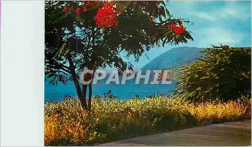 Cartes postales moderne Guadeloupe Cote sous le vent