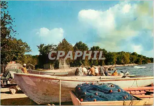 Moderne Karte Guadeloupe Port de peche a St Louis Bateau