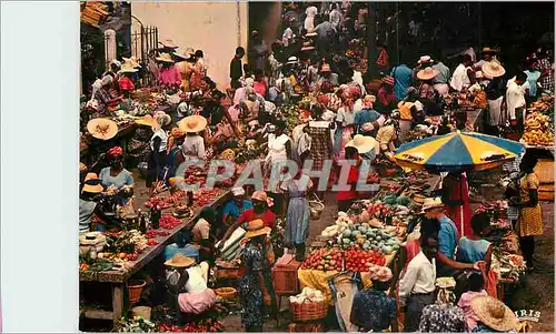 Cartes postales moderne Guadeloupe Pointe a Pitre Le Marche Saint Antoine