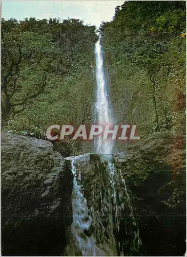 Cartes postales moderne Guadeloupe Chutes du Carbet