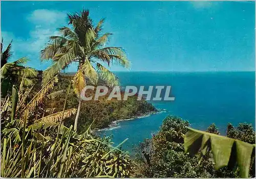 Cartes postales moderne Guadeloupe Cote au vent