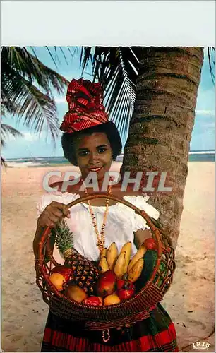 Cartes postales moderne Type Creole Fruits de la Guadeloupe