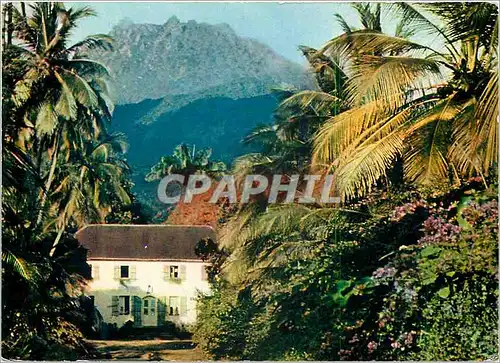 Cartes postales moderne Les Beaux Livres Guadeloupe St Claude View sur la Soufriere
