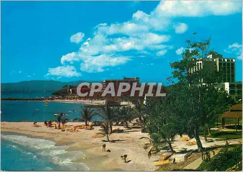 Cartes postales moderne Guadeloupe La Pointe de la Verdure et ses hotels