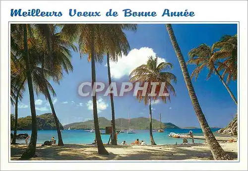 Cartes postales moderne Meilleurs Voeux Bonne Annee