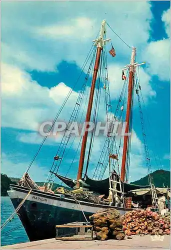 Cartes postales moderne Antilles Radieuses Embarquement du coprah Bateau