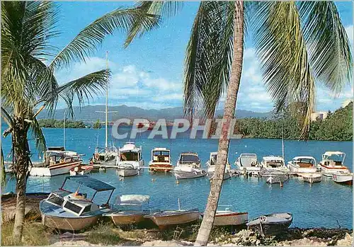 Cartes postales moderne La Guadeloupe Pointe a Pitre La Base Nautiflamme Bateaux