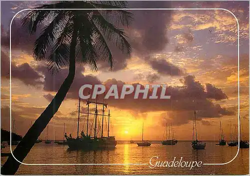 Moderne Karte Guadeloupe Crepuscule tropical sur la mer des Caraibes