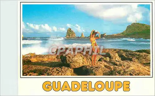 Cartes postales moderne Guadeloupe Il etat une fois la Guadeloupe Pointe des chateaux