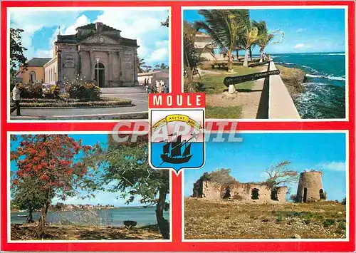 Cartes postales moderne Guadeloupe Moule