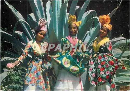 Cartes postales moderne Les Beaux Livres Guadeloupe Entraide Feminine Guadeloupeenne Groupe folklorique