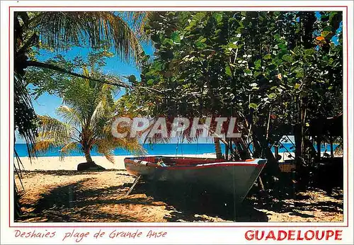 Cartes postales moderne Guadeloupe Deshaies plage de Grande Anse