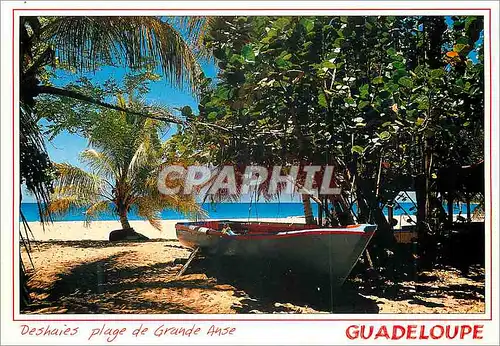 Moderne Karte Guadeloupe Deshaies plage de Grande Anse
