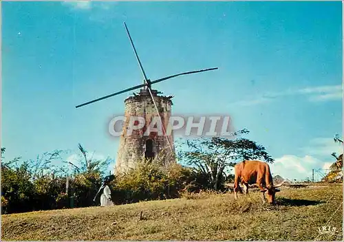 Cartes postales moderne Guadeloupe Vieux moulin