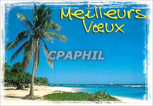 Cartes postales moderne Meilleurs Voeux de Bonne Annee