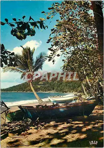 Cartes postales moderne Guadeloupe Plage sur la mer des Caraibes