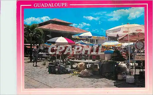Moderne Karte Guadeloupe Caribe Tupico mercado en Point a Pitre