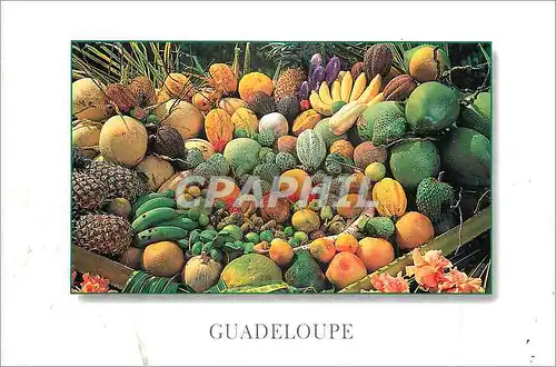 Cartes postales moderne Guadeloupe Petit marche local