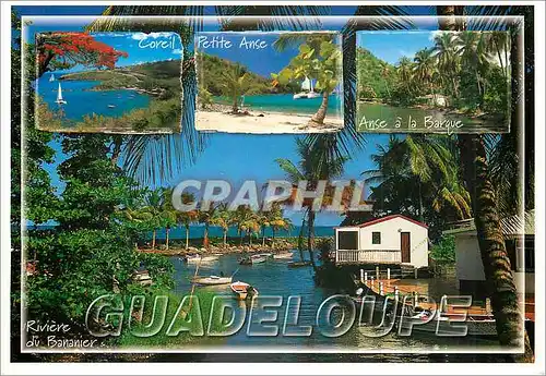 Cartes postales moderne Guadeloupe Riviere du Bananier Coreil Petite Anse Anse a la Barque