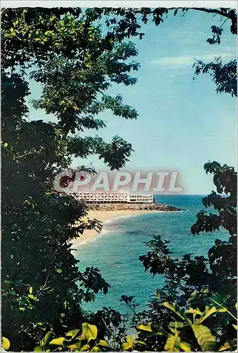 Cartes postales moderne Guadeloupe Fwi Hotel Port Royal a Deshaies