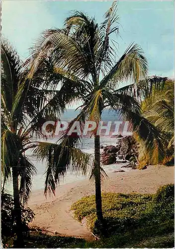 Cartes postales moderne Guadeloupe Plage de Ferry