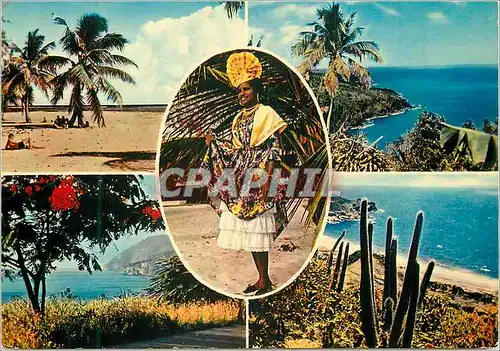 Cartes postales moderne En Guadeloupe