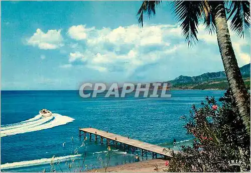 Cartes postales moderne Antilles Radieuses La mer des Caraibes