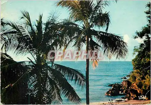Cartes postales moderne Antilles Radieuses Soleil couchant