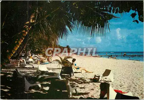 Moderne Karte Guadeloupe Plage de la Caravelle