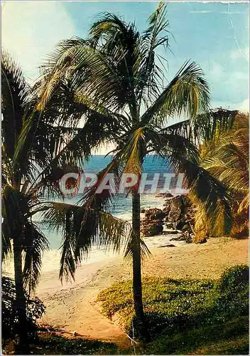 Cartes postales moderne Guadeloupe Plage de Ferry