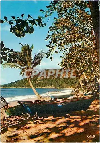 Cartes postales moderne Guadeloupe Plage sur la mer des Caraibes