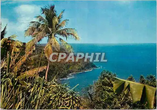 Cartes postales moderne Guadeloupe Cote au vent