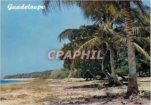 Moderne Karte Guadeloupe La Guadeloupe en coleurs La plage La Ferriere a Capesterre Marie Galante