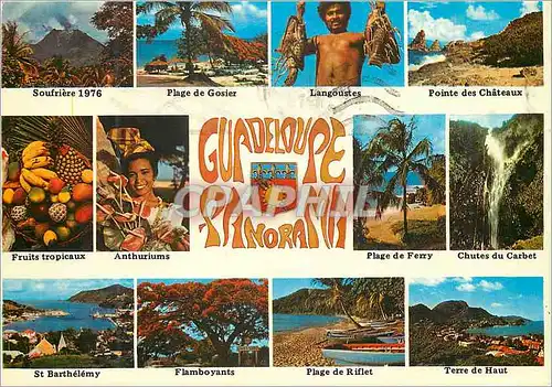 Cartes postales moderne Guadeloupe Panorama