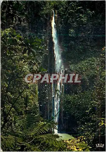 Cartes postales moderne Guadeloupe La chute de Carbet