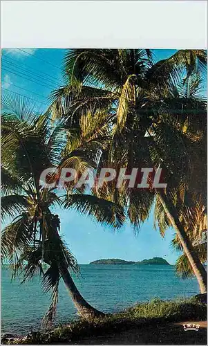 Cartes postales moderne Guadeloupe Cote des Caraibes