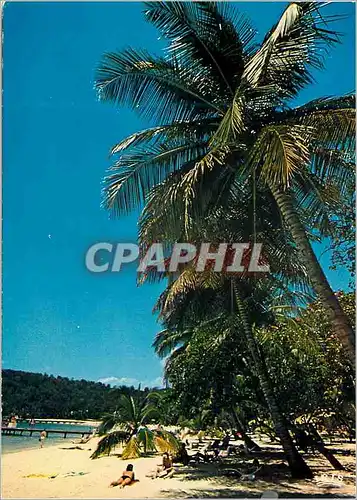 Cartes postales moderne Guadeloupe La Caravelle