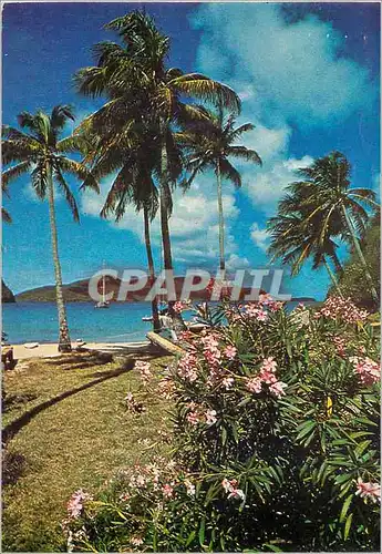 Cartes postales moderne Plage du Pain de Sucre ile des Saintes Guadeloupe