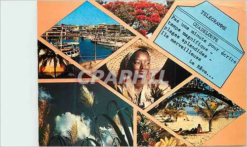 Cartes postales moderne Vues de la Guadeloupe