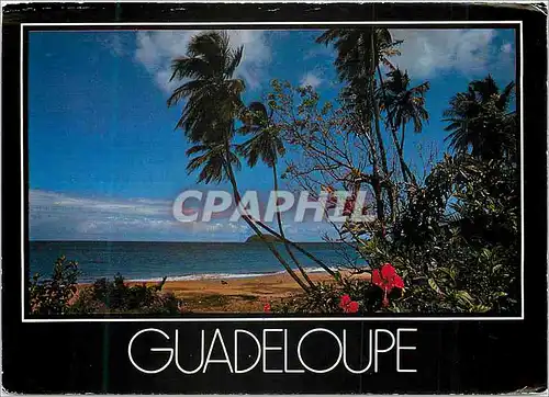 Cartes postales moderne Guadeloupe Il etait une fois la Guadeloupe
