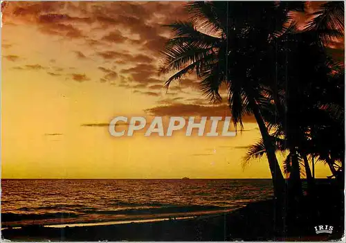 Cartes postales moderne Guadeloupe Coucher de soleil