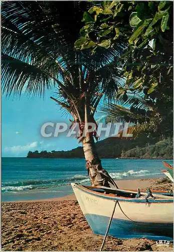 Cartes postales moderne Guadeloupe Plage de pecheurs Deshaies