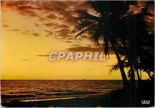 Cartes postales moderne Guadeloupe Coucher de soleil