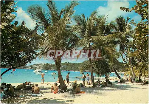 Moderne Karte Sous les cocotiers Guadeloupe
