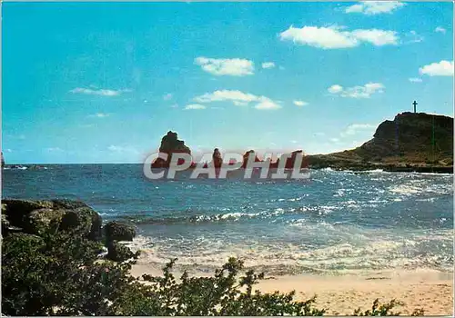 Cartes postales moderne Guadeloupe La Pointe des Chateaux