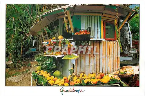 Moderne Karte Guadeloupe Antilles Petit Marche local