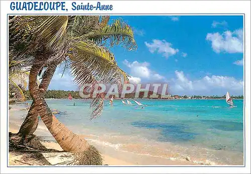 Moderne Karte Guadeloupe Sainte Anne Plage de la Caravelle