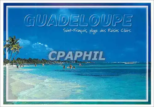 Cartes postales moderne Guadeloupe Saint Francois plage des Raisins Clairs