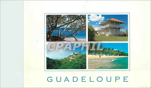 Moderne Karte Guadeloupe Antilles francaises Raisiniers sur la plage des Raisins Clairs Maison Zevalos au Moul