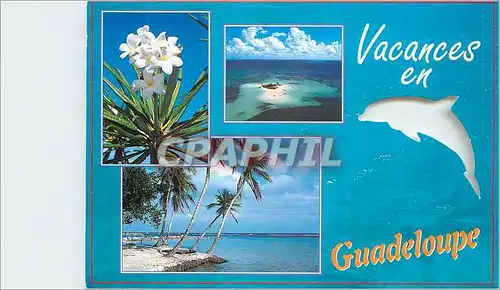 Cartes postales moderne Vacances en Guadeloupe